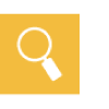Search Icon